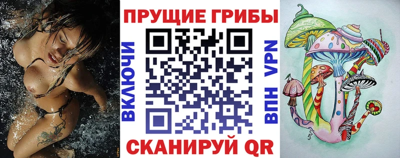 Купить где  Нестеров  Галлюциногенные грибы GOLDEN TEACHER 